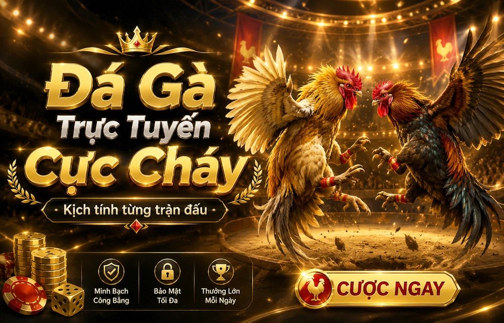 Cách bắt đầu tra cứu Hỏi đáp trên 79KING